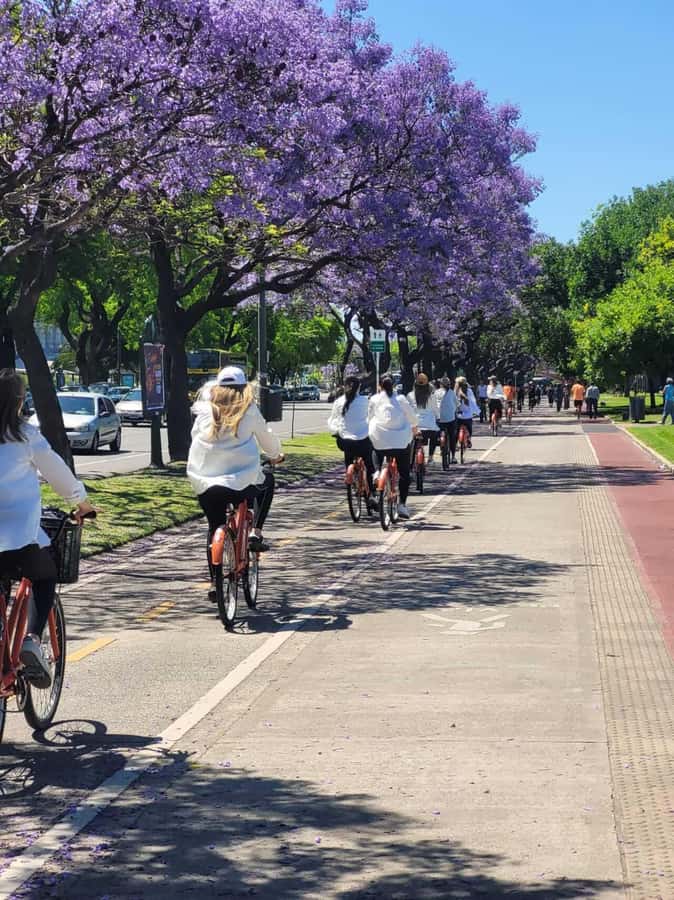 Bike Tour: Buenos Aires to the North - Floralis Genérica, one of the city’s best photo stops
