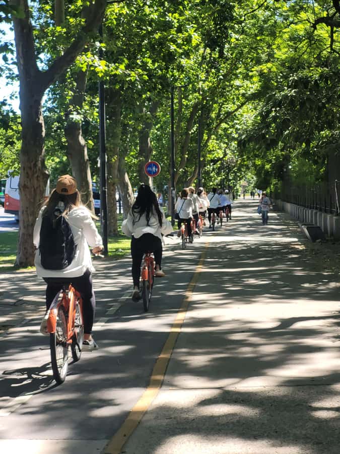 Bike Tour: Buenos Aires to the North - National Library and the San Martín Institute