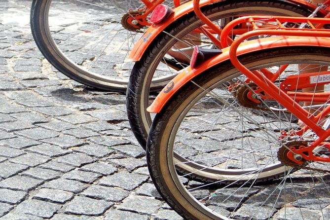 Buenos Aires Bike Tour: San Telmo and La Boca Districts - The Ecological Reserve: a quiet break beside the river