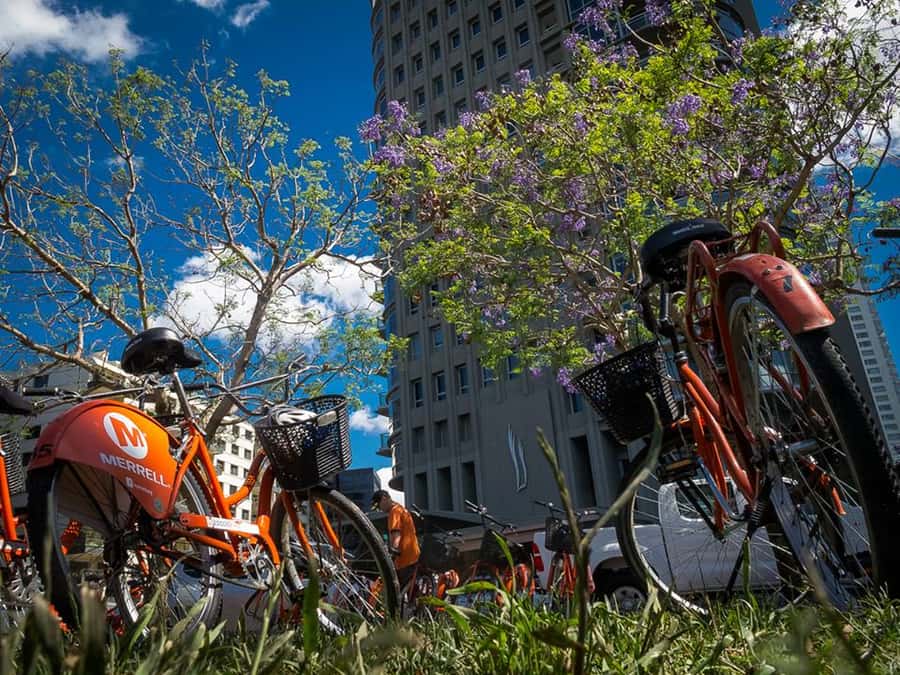 Buenos Aires Bike Tour: South or North Circuit - Key points to know before booking