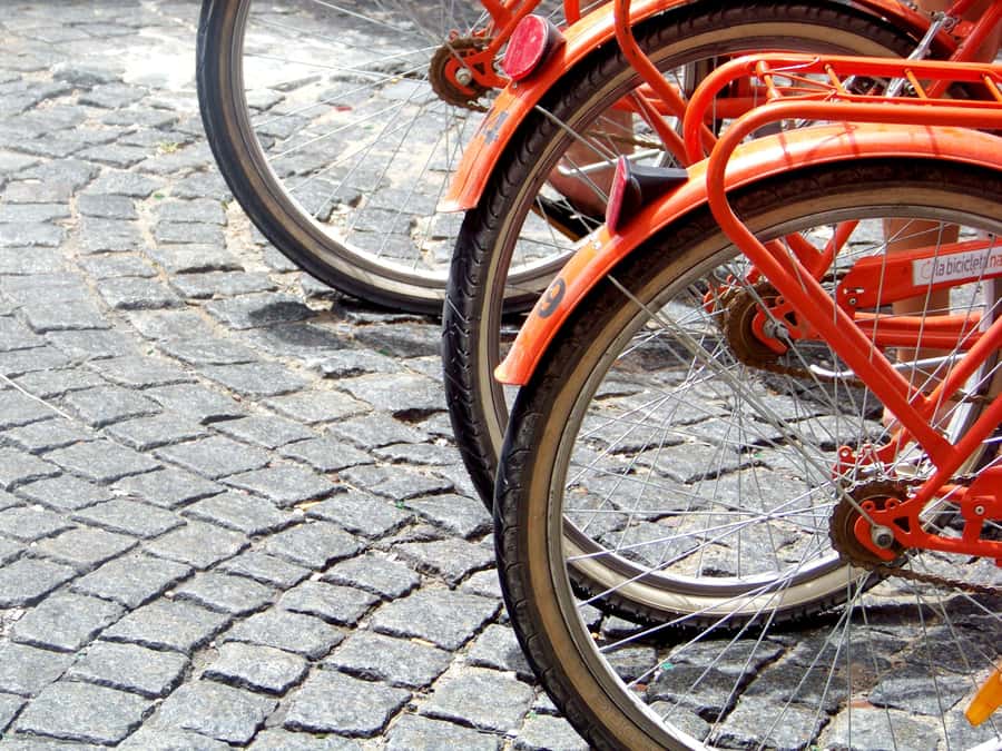 Buenos Aires Bike Tour: South or North Circuit - South Circuit: Plaza de Mayo and the national stage