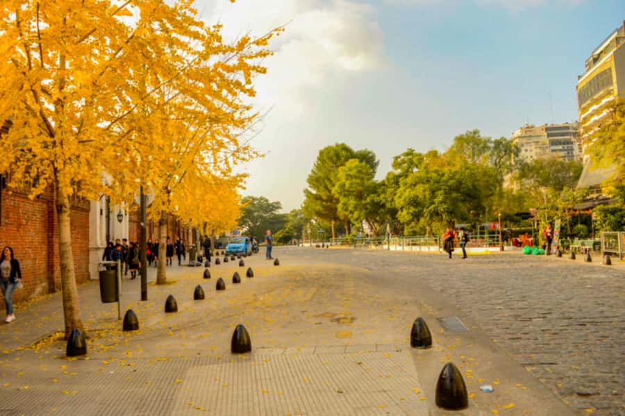 Buenos Aires: City Tour Porteno with Wine Tasting - Why this five-hour route works