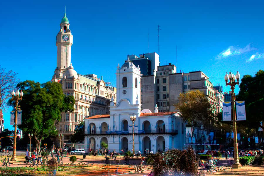 Buenos Aires City Tour with Luxury Lunch - Recoleta, Avenida Alvear, and the sights not included