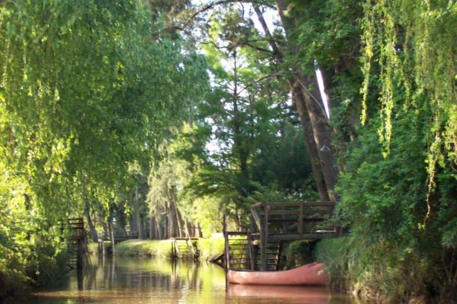 Buenos Aires: Classic Private Delta Tigre Boat Tour - Should you book the Classic Delta Tigre Boat Tour?
