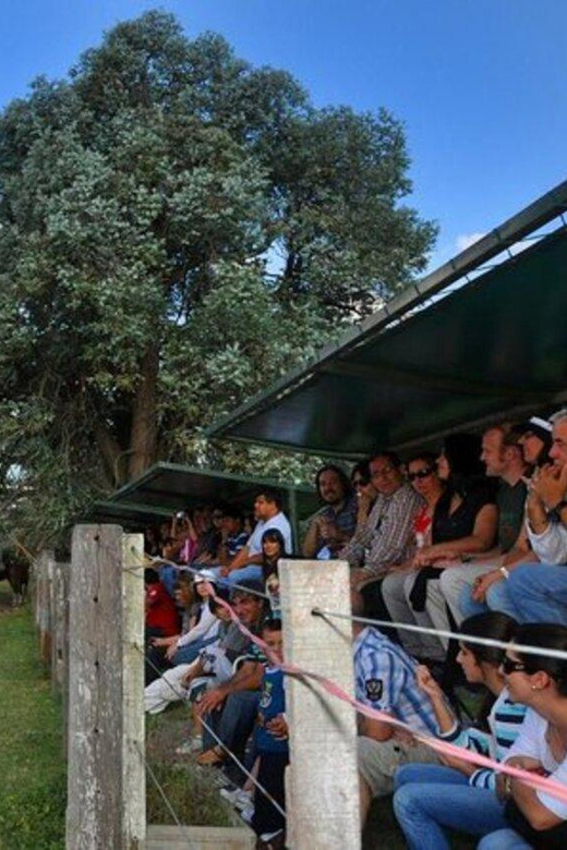 Buenos Aires: Don Silvano Ranch Gaucho Day Trip - Should You Book This Ranch Day?