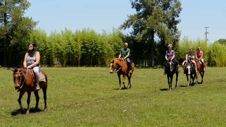 Buenos Aires: Don Silvano Ranch Gaucho Day Trip - An Asado Lunch That Takes Its Time