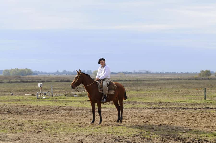 Buenos Aires: Don Silvano Ranch Gaucho Day Trip - Who Will Enjoy Don Silvano Most