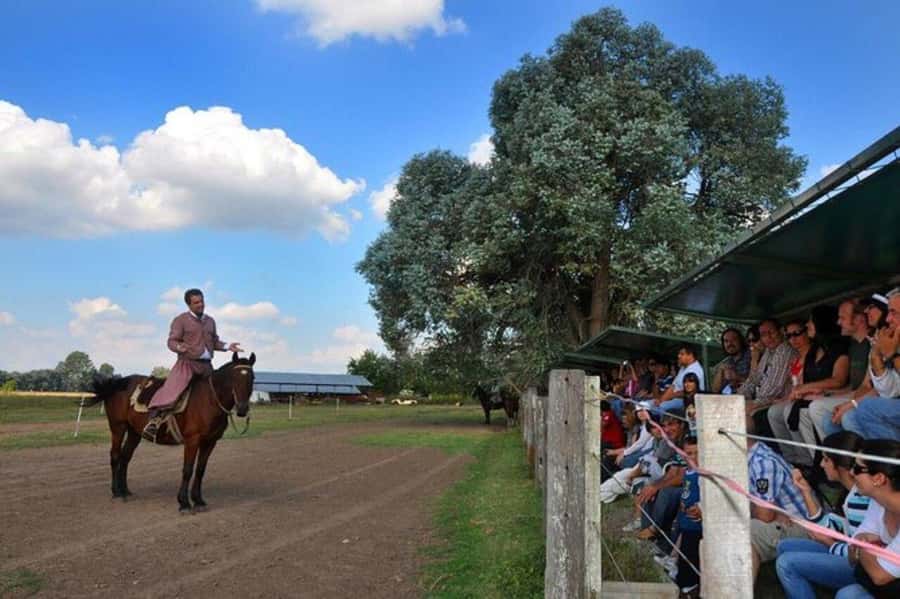 Buenos Aires: Don Silvano Ranch Gaucho Day Trip - Saddling Up for a Gentle Horse Ride