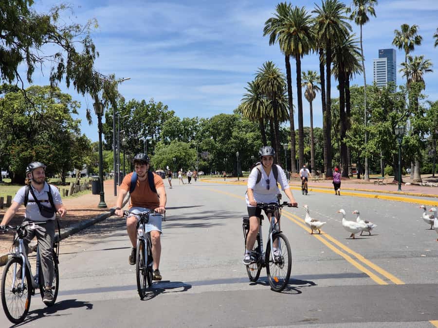 Buenos Aires: E-Bike Tour in the North Circuit of Buenos Aires - Floralis Genérica and the parks of Palermo