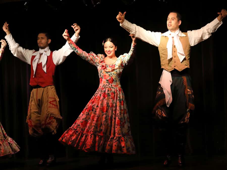 Buenos Aires: Live Michelangelo Tango & Folklore Show Ticket - Choosing between the standard ticket and VIP dinner