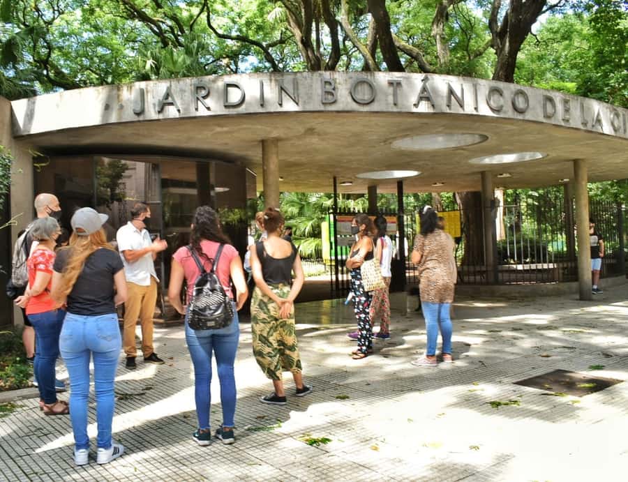 Buenos Aires: Palermo Soho Guided Walking Tour - Small groups, language, and guide quality