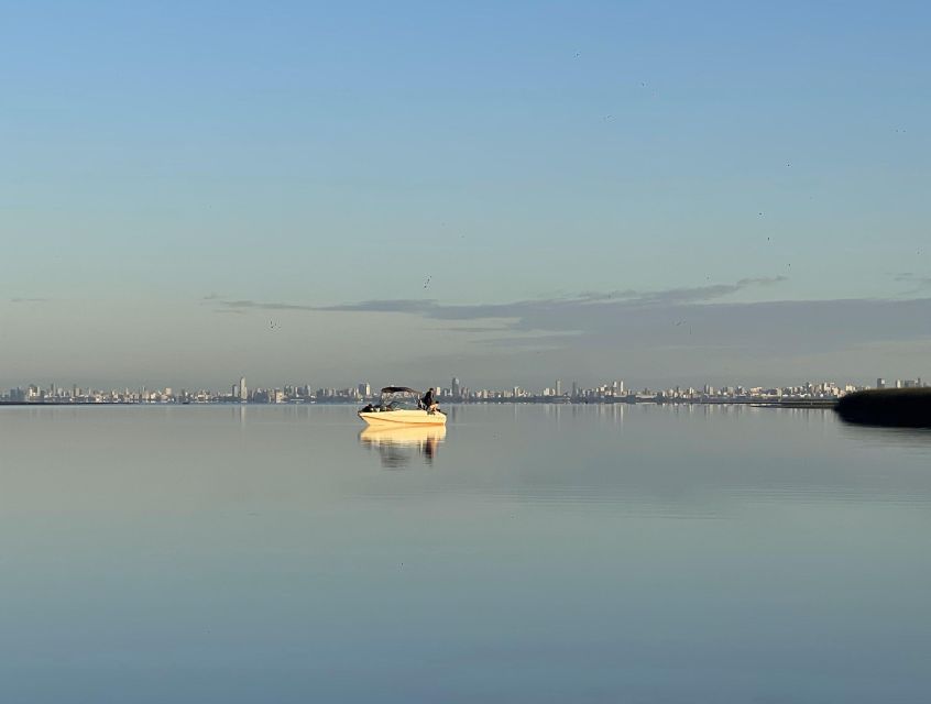 Buenos Aires: Private Delta Boat Tour with Barbecue onboard - Understanding the real price for a group