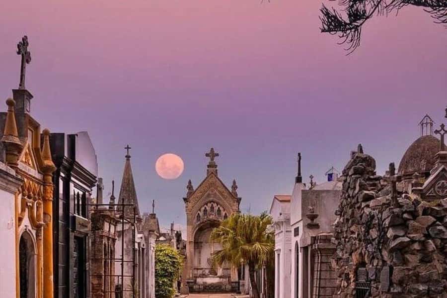 Buenos Aires: Small Group City Highlights Tour - The guide and language question