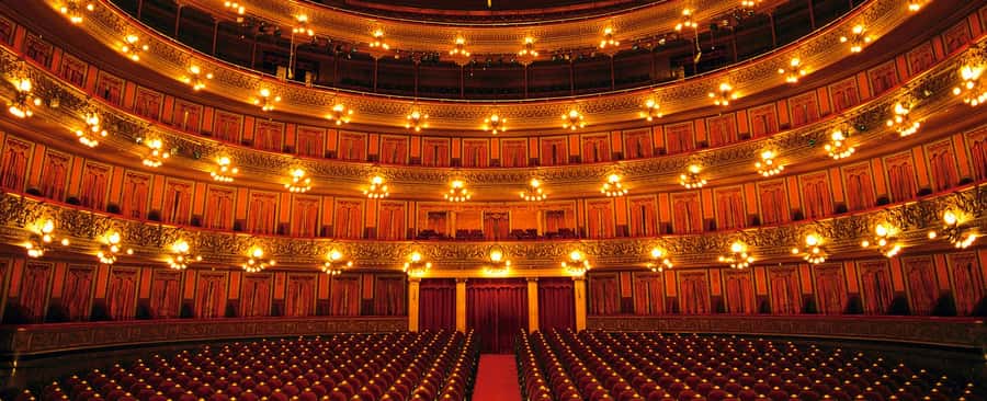 Buenos Aires: Teatro Colon Guided Tour - What you learn about performances and backstage work