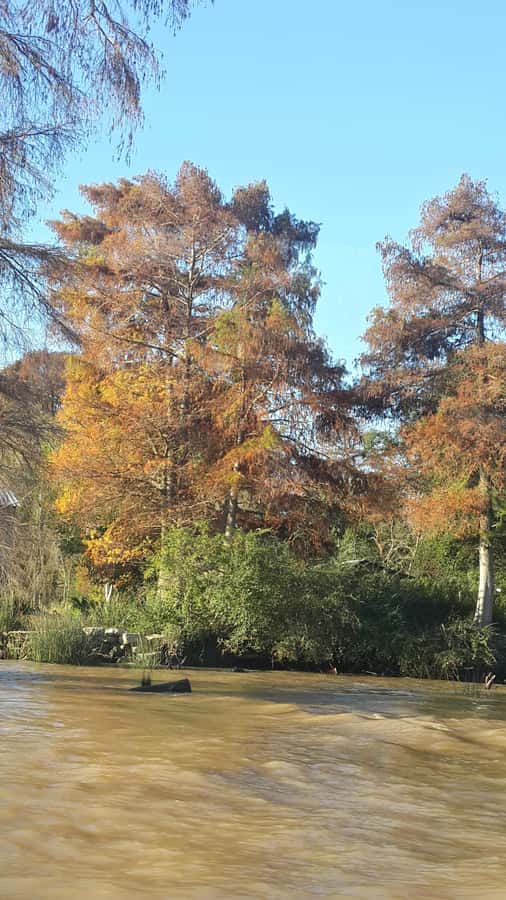 Buenos Aires: "Ticket"- 2hs of Navigation Premium to Tigre - Practical tips for a smoother trip