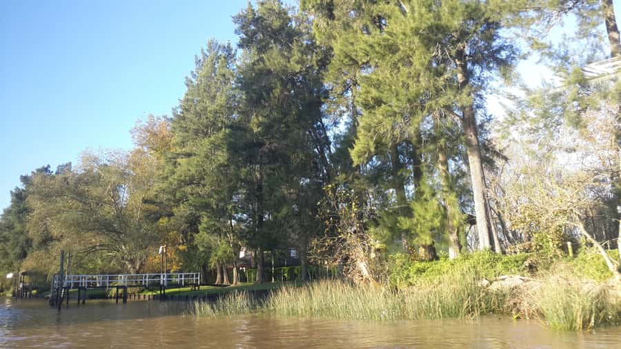 Buenos Aires: Ticket - Classic Delta of Tigre Boat Tour - Who will get the most from this Tigre cruise