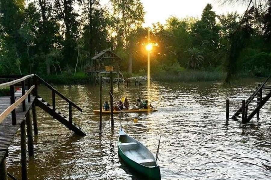 Buenos Aires: Tigre Delta Half-Day Tour with Navigation - Key points to know