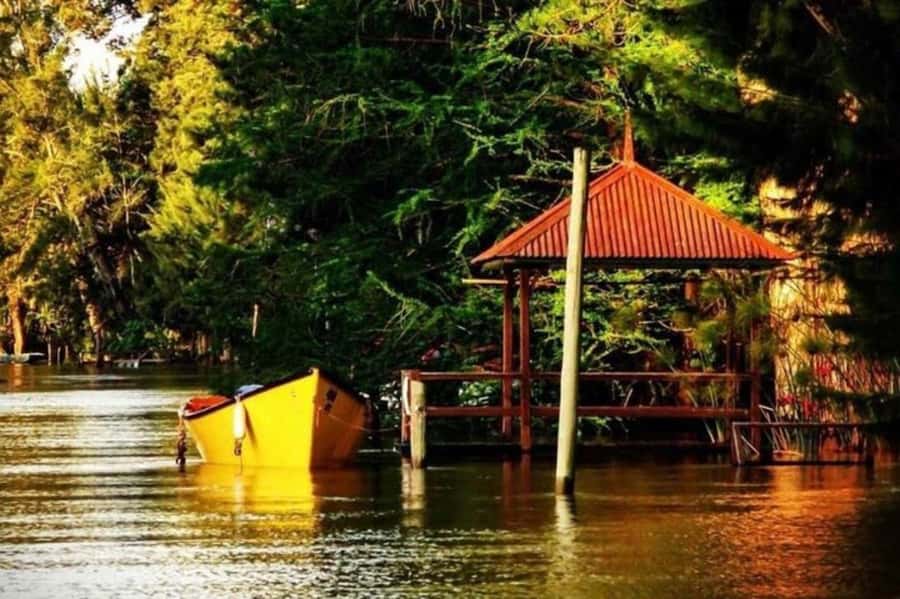 Buenos Aires: Tigre Delta Half-Day Tour with Navigation - Puerto de Frutos in 25 to 30 minutes