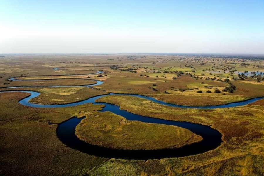 Buenos Aires: Tigre Delta Premium Boat Tour - One hour across the Río de la Plata