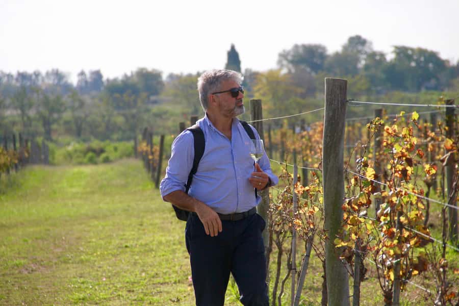 Buenos Aires: Wine Tasting and Lunch at Bodega Gamboa - Practical details that make the day smoother