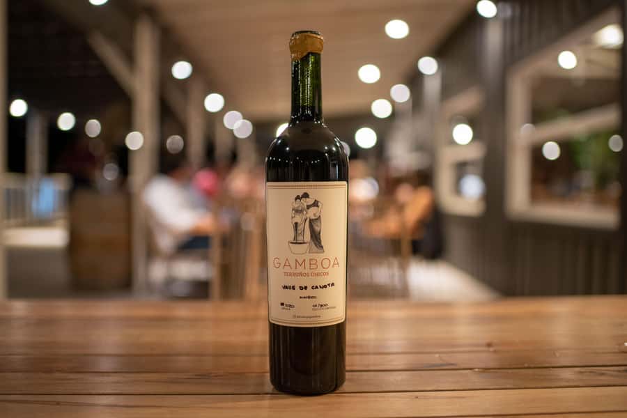 Buenos Aires: Wine Tasting and Lunch at Bodega Gamboa - Should you book Bodega Gamboa?