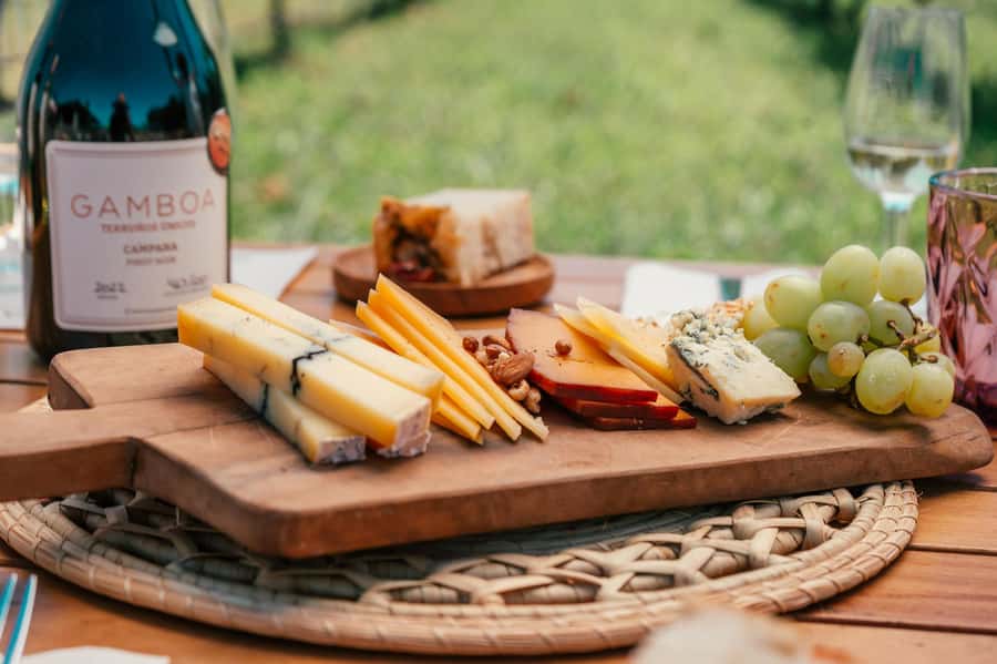 Buenos Aires: Wine Tasting & Lunch at Gamboa Vineyard - A countryside escape only 65 kilometers from Buenos Aires