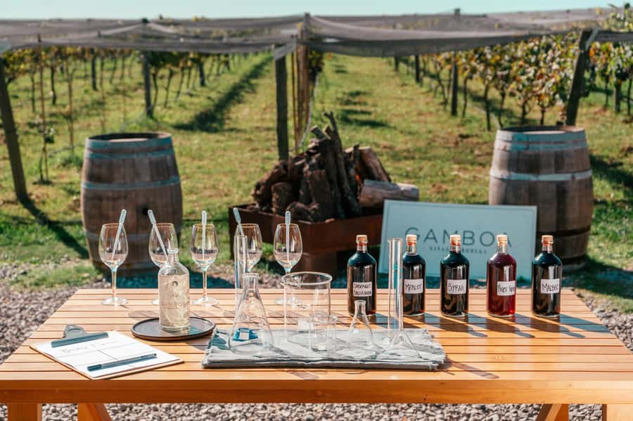 Buenos Aires: Wine Tasting & Lunch at Gamboa Vineyard - What the $220 price really covers