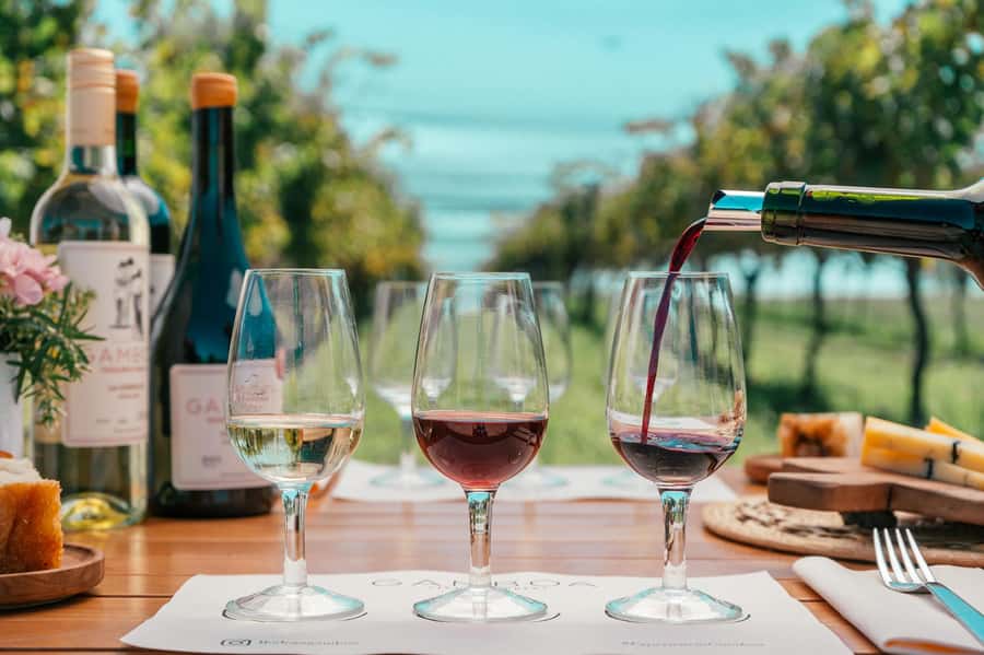 Buenos Aires: Wine Tasting & Lunch at Gamboa Vineyard - A welcome glass before the vineyard walk