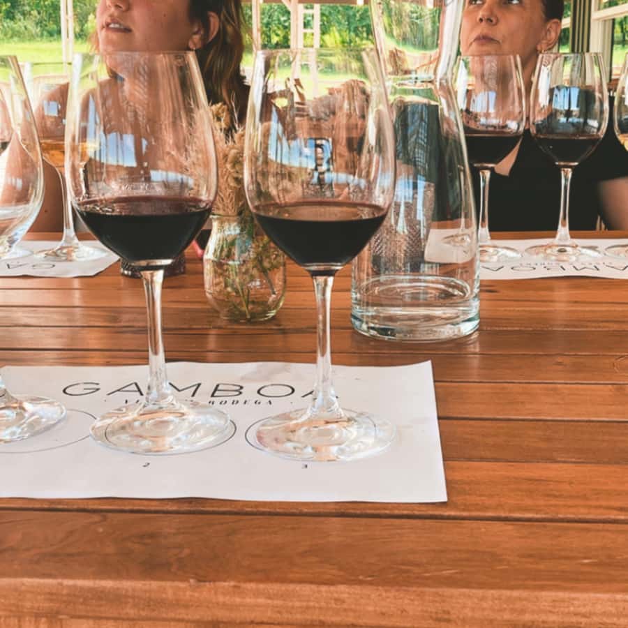 Enjoy a Rural Experience in a Vineyard near Buenos Aires - Should you book this vineyard day trip?