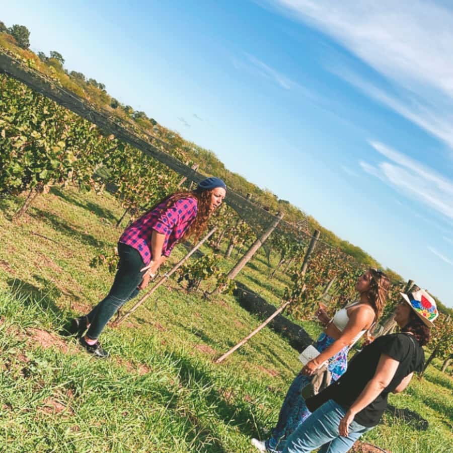 Enjoy a Rural Experience in a Vineyard near Buenos Aires - Leaving Buenos Aires for Casa Gamboa