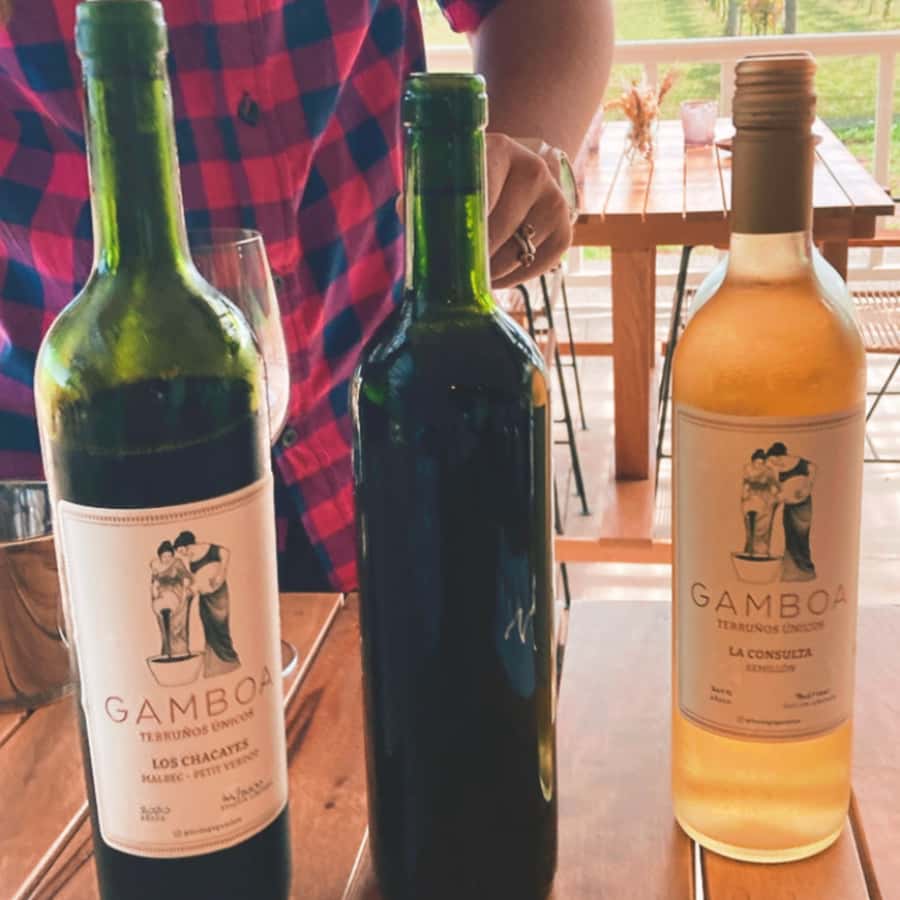 Enjoy a Rural Experience in a Vineyard near Buenos Aires - Wine tasting with food pairing