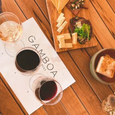 Enjoy a Rural Experience in a Vineyard near Buenos Aires