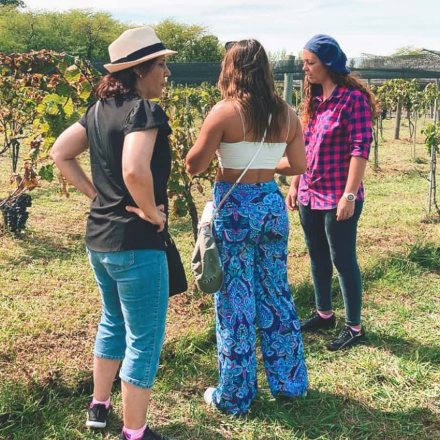 Enjoy a Rural Experience in a Vineyard near Buenos Aires - What the timing really means