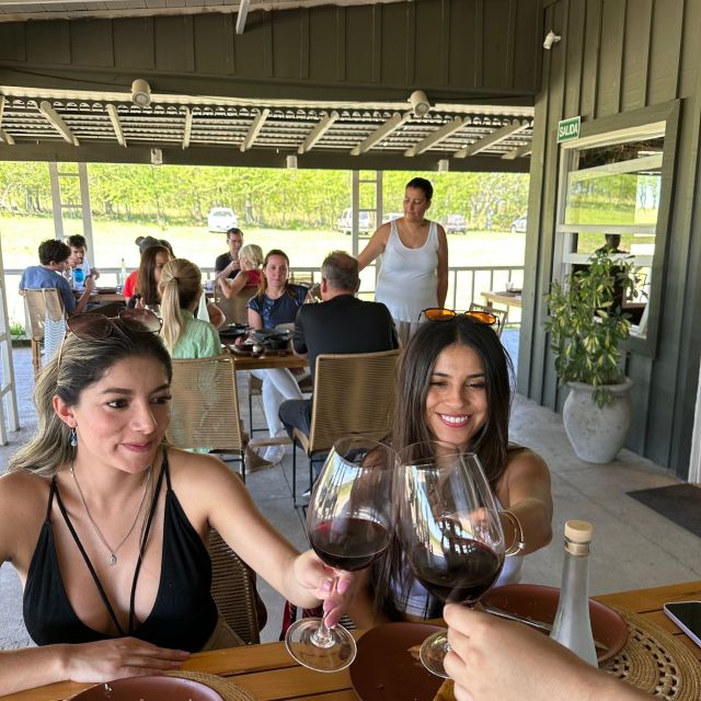 Enjoy a Rural Experience in a Vineyard near Buenos Aires - Booking, cancellations, and practical cautions