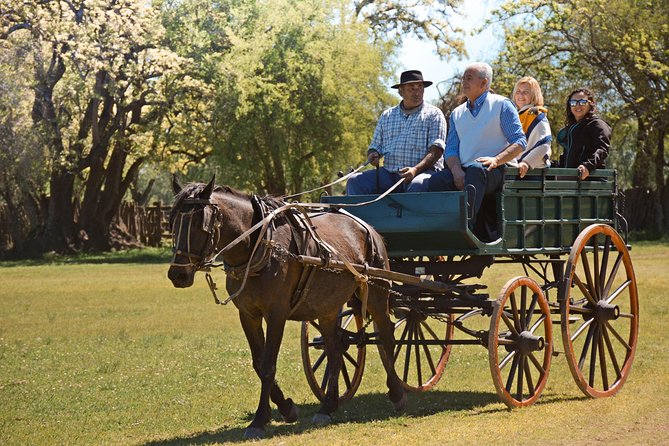 Estancia Gaucho Day at Buenos Aires - Arriving at the estancia beneath the ombú tree