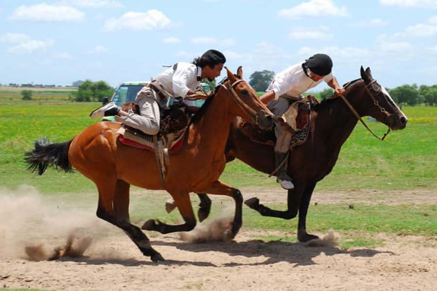 From Buenos Aires: Estancia Don Silvano Tour with Lunch. - Leaving Buenos Aires for Exaltación de la Cruz