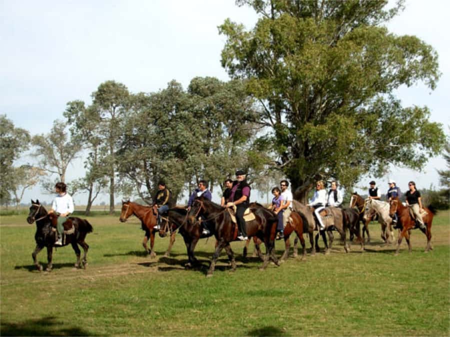 From Buenos Aires: Estancia Don Silvano Tour with Lunch. - Arrival with empanadas and a glass of wine