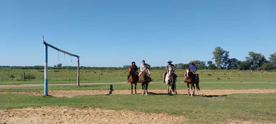 From Buenos Aires: Estancia Don Silvano Tour with Lunch. - What the ranch visit actually offers
