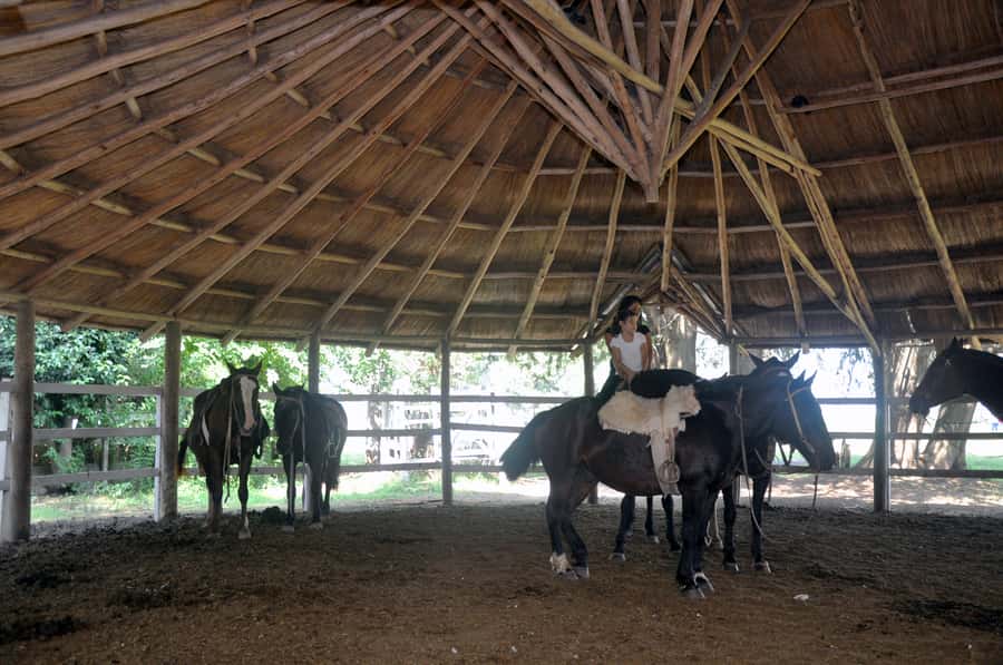 From Buenos Aires: Estancia Don Silvano Tour with Lunch. - Folk songs and Creole dances during lunch