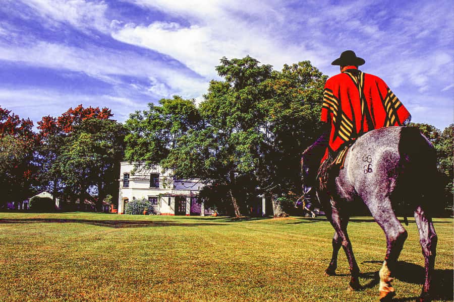 From Buenos Aires: Gaucho and Ranch Day Tour - San Antonio de Areco, Argentina’s gaucho town