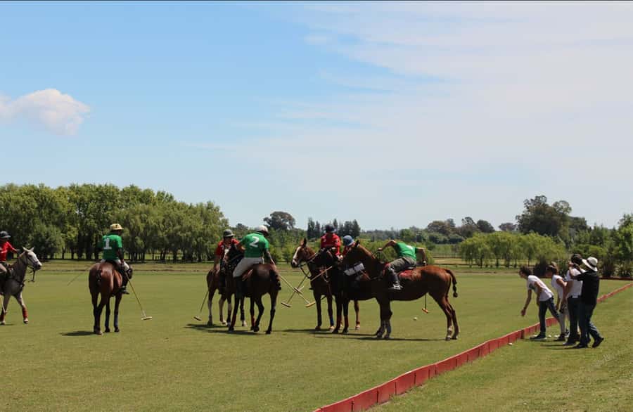 From Buenos Aires: Polo Match, Lesson, and BBQ Day-Trip - Empanadas, wine, and your first taste of polo