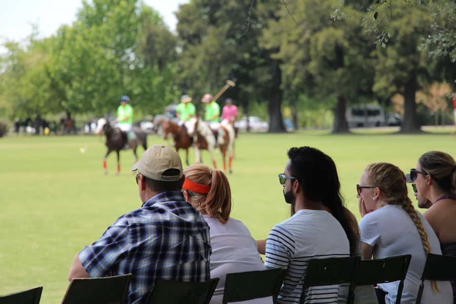From Buenos Aires: Polo Match, Lesson, and BBQ Day-Trip - Meeting the polo horses at the pony line