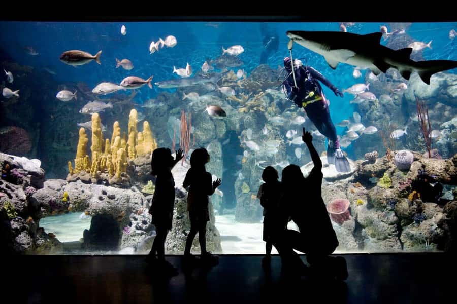From Buenos Aires: Temaiken Zoo Tour with Ticket Included - Who will get the most from this outing?