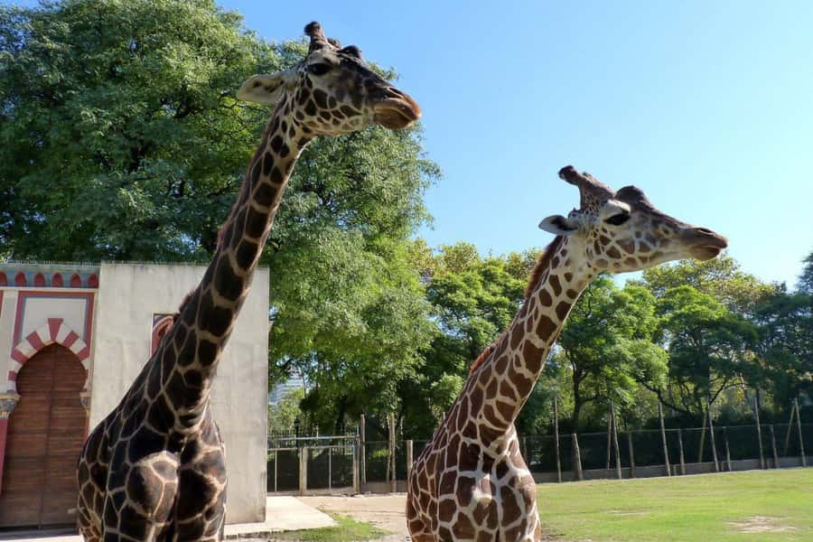 From Buenos Aires: Temaiken Zoo Tour with Ticket Included - The aquarium: three Argentine water worlds