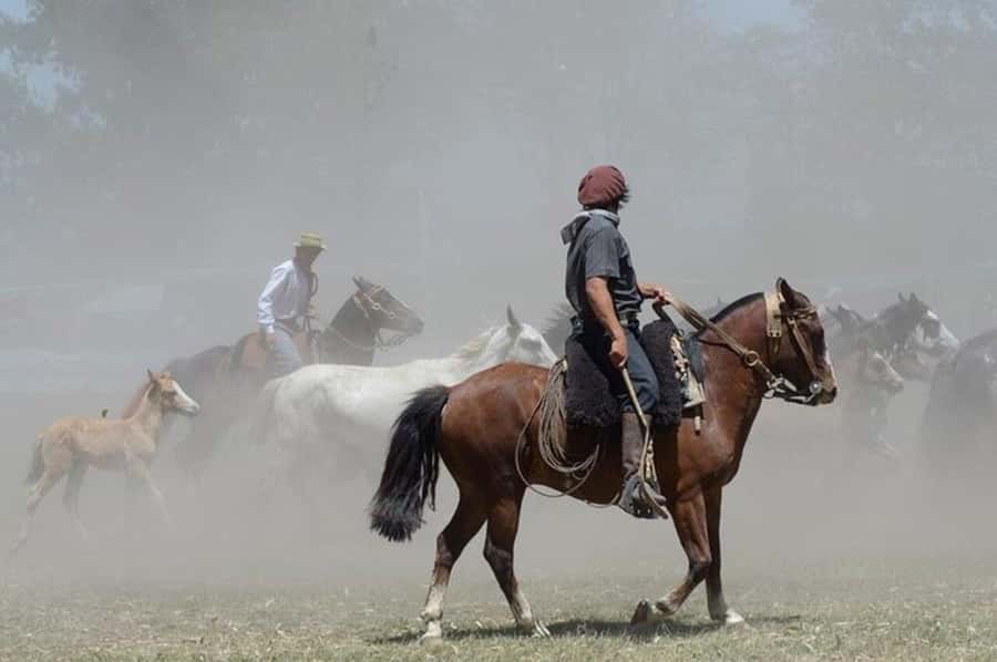 Full-Day at Santa Susana Ranch with BBQ, Drinks and Show - La sortija and the carrera de cuadreras