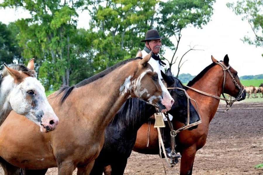Full-Day at Santa Susana Ranch with BBQ, Drinks and Show - Who will enjoy this day most?