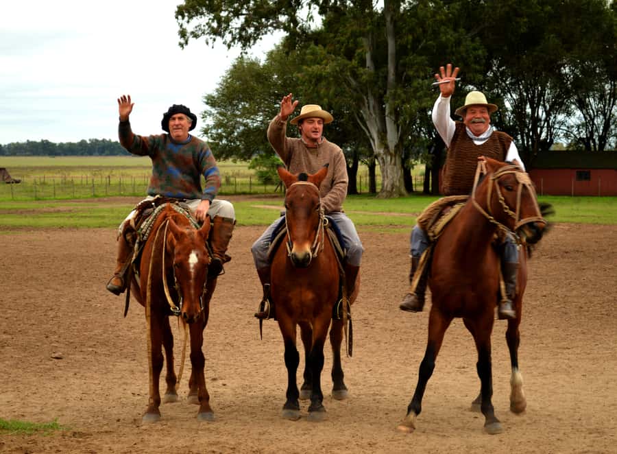 Full-Day at Santa Susana Ranch with BBQ, Drinks and Show - A welcome with empanadas and Argentine wine