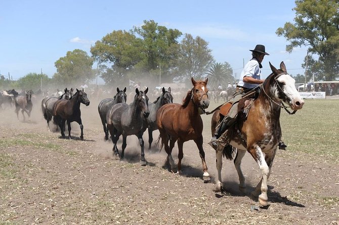 Gaucho Experience: A Day Trip to Don Silvano Ranch - From Buenos Aires to the Open Pampas