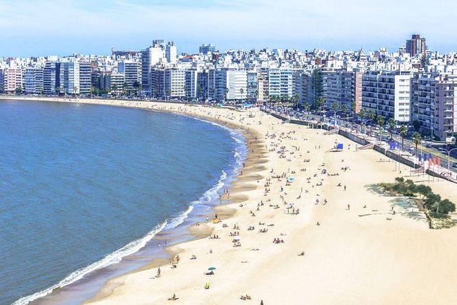 Montevideo Private Full Day Tour from Buenos Aires - Montevideo from above at the Panoramic Viewpoint
