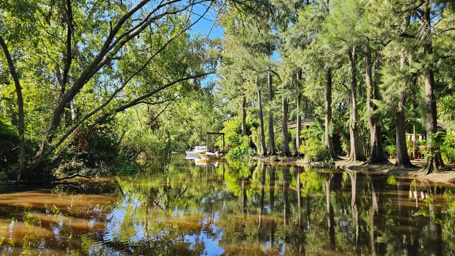Navigation in Delta of Tigre - Exclusive semi private tour - Key points to know before booking